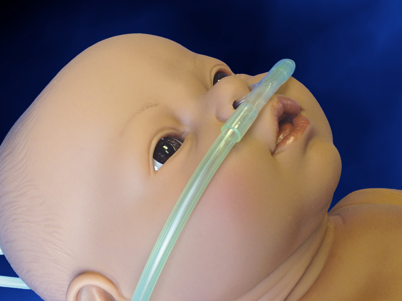 how to put on oxygen nasal cannula